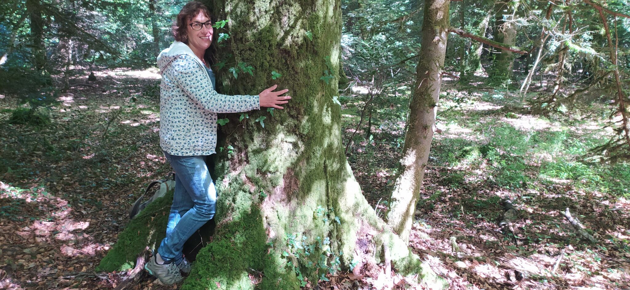 Les Bains De Forêt Et Bains De Nature Marchons Respirons 2730